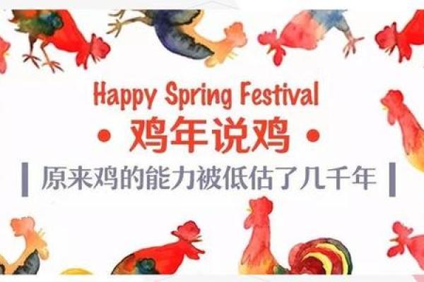 农历的鸡:你不知道的养殖技巧 农历的鸡:你不知道的养殖技巧