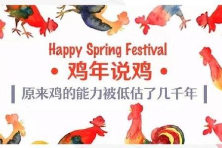 农历的鸡：你不知道的养殖技巧
