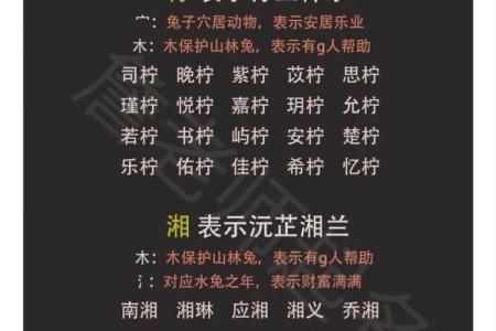 如何为男猪宝宝起一个既有寓意又独特的名字