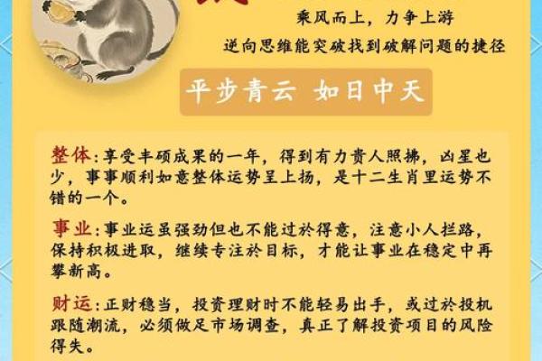 运程：事业、财运与感情的全方位预测