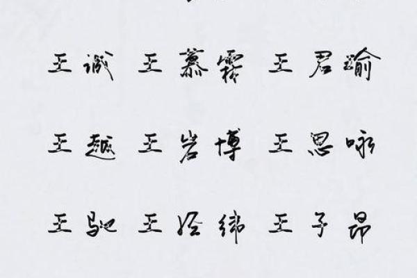 王字男孩名字的独特寓意与选取技巧 王字男孩名字的独特寓意与选取技巧