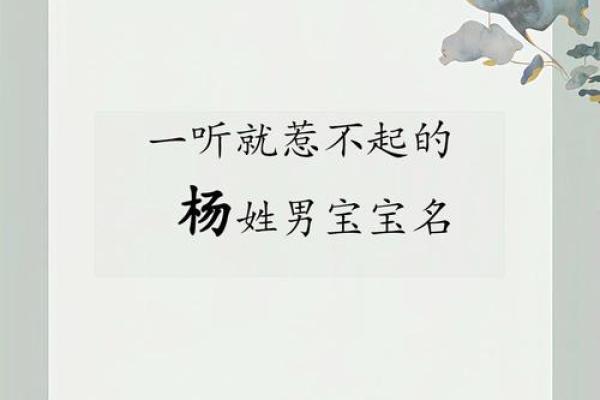 杨姓男孩名字推荐,带有智慧与力量的寓意 杨姓男孩名字推荐,带有智慧与力量的寓意