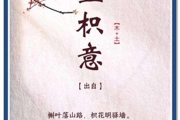 适合王姓女孩的优雅名字推荐 适合王姓女孩的优雅名字推荐