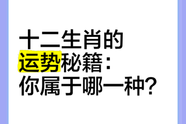 如何在抓住运势机会?生肖运程的秘密解析 如何在抓住运势机会?生肖运程的秘密解析