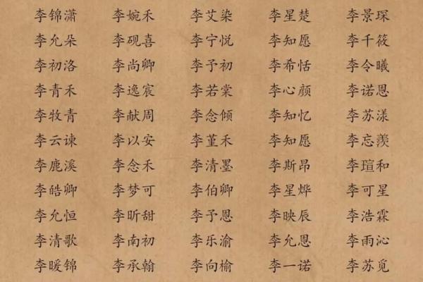 为李姓男孩起名的创意与传统结合 为李姓男孩起名的创意与传统结合