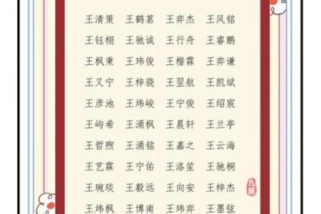 王字男孩名字的独特寓意与选取技巧