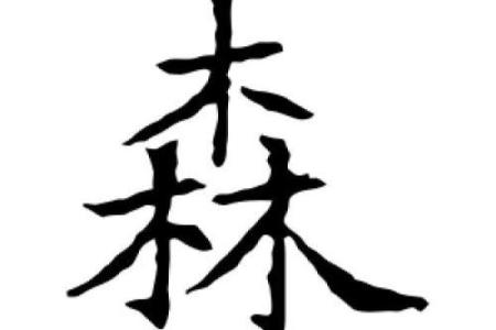 寓意深远的带森字名字推荐