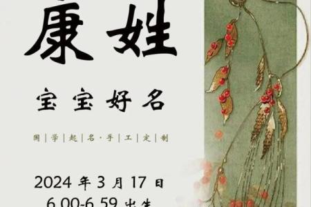 岑姓女宝宝起名推荐与技巧解析