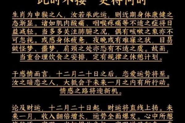 猴生肖运程解析:事业与财富的双重突破 猴生肖运程解析:事业与财富的双重突破