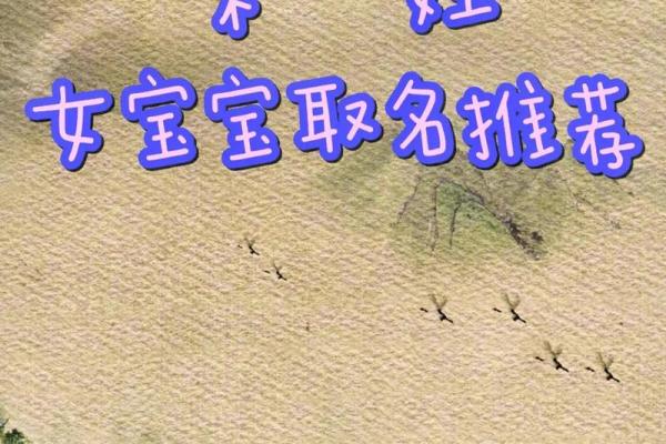 从文化到音韵,取名字时的多维考量 从文化到音韵,取名字时的多维考量