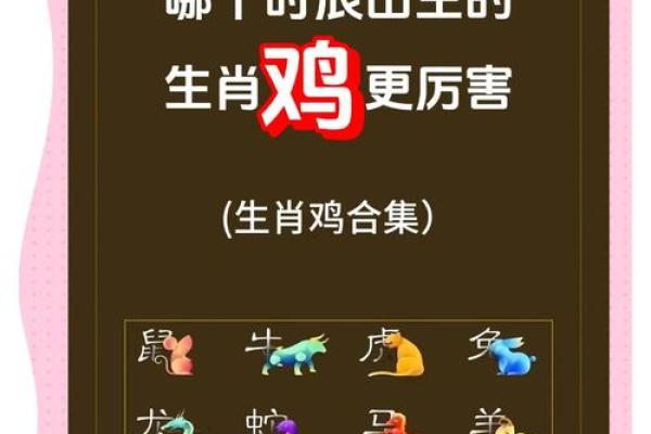 如何为鸡宝宝选择一个寓意深远的名字 如何为鸡宝宝选择一个寓意深远的名字