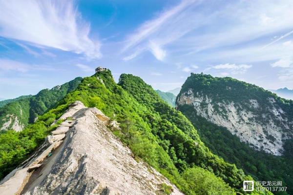 终南山五行香价格揭秘 你值得拥有的香品选择 终南山五行香价格揭秘 你值得拥有的香品选择