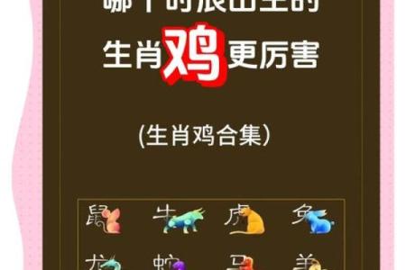 如何为鸡宝宝选择一个寓意深远的名字