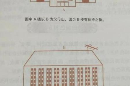 水域旁的楼盘风水指南：提升居住运势的秘密
