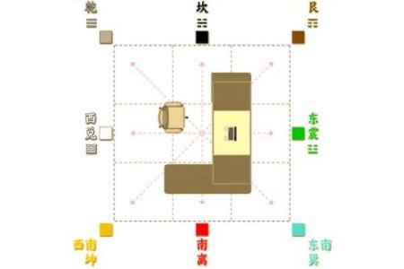 如何在办公空间中利用花卉提升风水