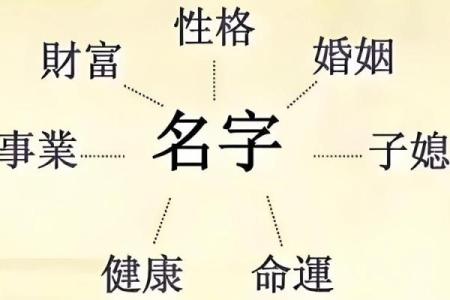 金的名字如何影响个体的命运与人生