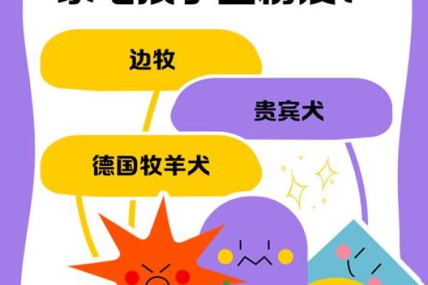 最受欢迎的小狗名字大全,你家的毛孩子适合哪一个 最受欢迎的小狗名字大全,你家的毛孩子适合哪一个