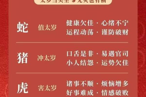 属蛇万年历:2023年运势详解,揭秘你的运势密码 属蛇万年历:2023年运势详解,揭秘你的运势密码