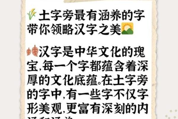 最土名字大盘点,了解一下那些你绝对想不到的名字 最土名字大盘点,了解一下那些你绝对想不到的名字