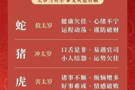 属蛇万年历：2023年运势详解，揭秘你的运势密码
