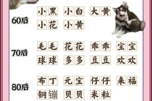 狗年出生的宝宝起名禁忌与建议