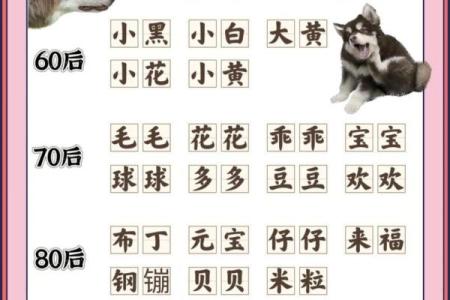 狗年出生的宝宝起名禁忌与建议