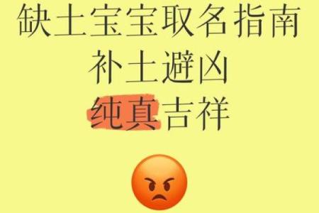 土命宝宝名字推荐：寓意吉祥的选名方案