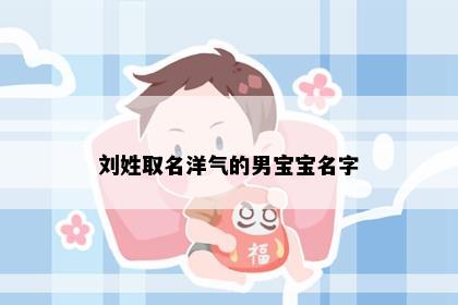 刘姓取名洋气的男宝宝名字