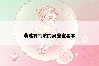 裴姓有气质的男宝宝名字