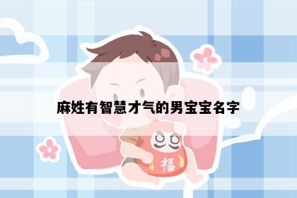 麻姓有智慧才气的男宝宝名字