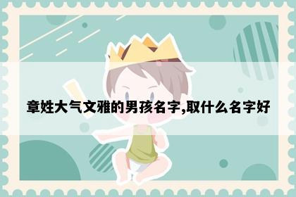 章姓大气文雅的男孩名字,取什么名字好