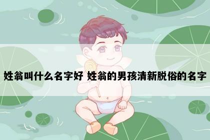 姓翁叫什么名字好 姓翁的男孩清新脱俗的名字