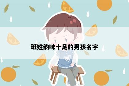 班姓韵味十足的男孩名字