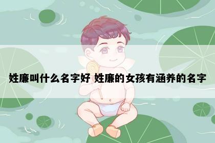 姓廉叫什么名字好 姓廉的女孩有涵养的名字