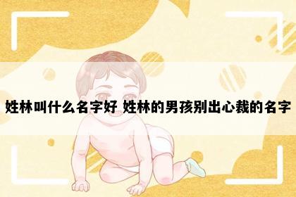 姓林叫什么名字好 姓林的男孩别出心裁的名字