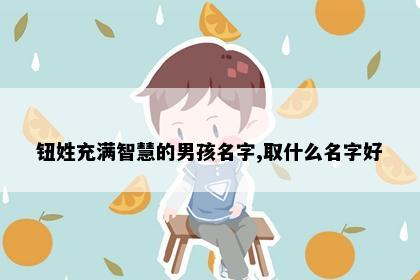 钮姓充满智慧的男孩名字,取什么名字好