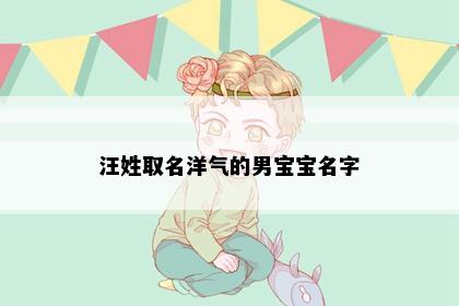 汪姓取名洋气的男宝宝名字