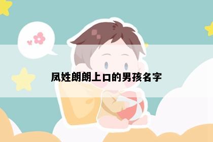 凤姓朗朗上口的男孩名字