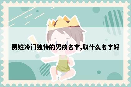 贾姓冷门独特的男孩名字,取什么名字好