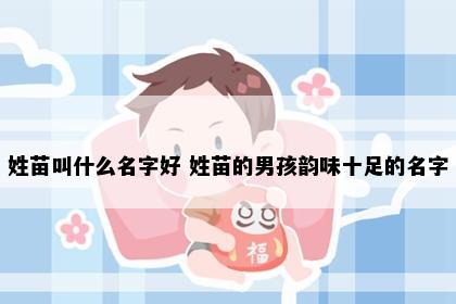 姓苗叫什么名字好 姓苗的男孩韵味十足的名字