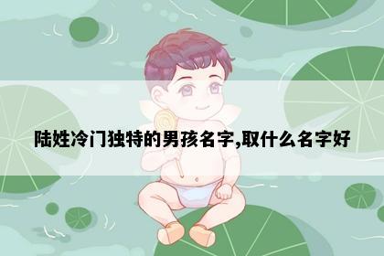 陆姓冷门独特的男孩名字,取什么名字好