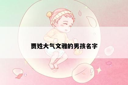 贾姓大气文雅的男孩名字