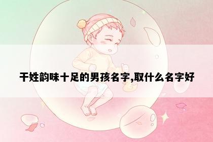干姓韵味十足的男孩名字,取什么名字好