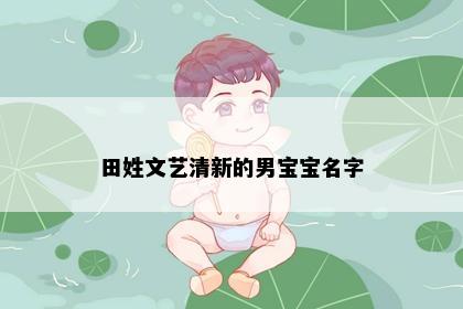 田姓文艺清新的男宝宝名字