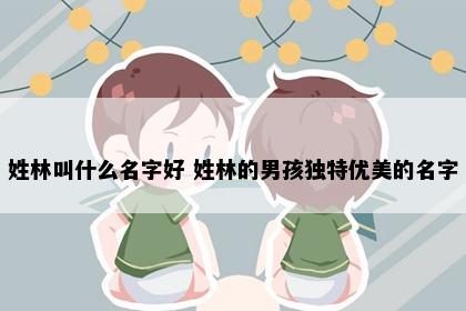 姓林叫什么名字好 姓林的男孩独特优美的名字
