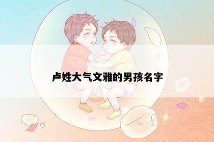 卢姓大气文雅的男孩名字