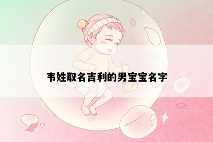 韦姓取名吉利的男宝宝名字