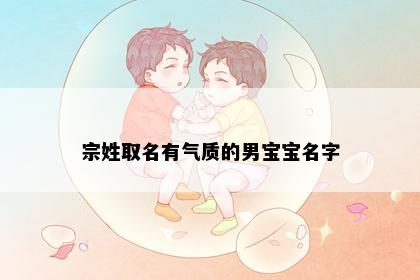宗姓取名有气质的男宝宝名字