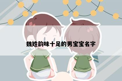 魏姓韵味十足的男宝宝名字