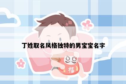 丁姓取名风格独特的男宝宝名字